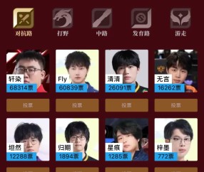 im电竞-KPL历史最佳阵容评选